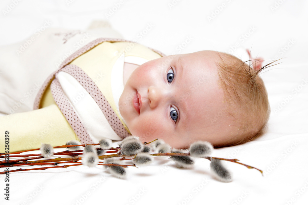 newborn european baby girl boy with pussy willow 3 months old Stock