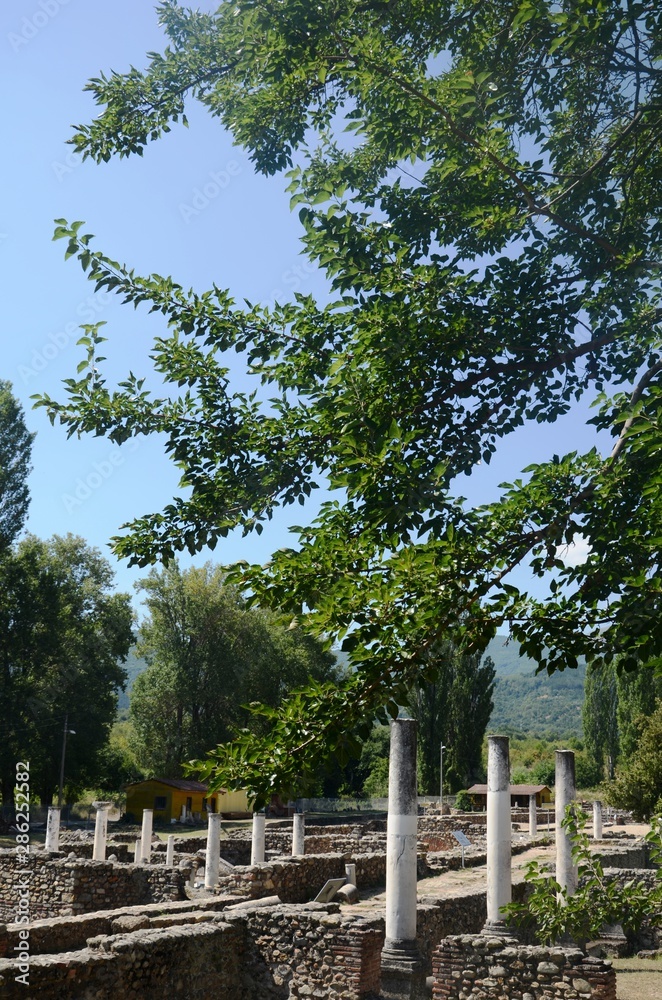 Fototapeta premium Macédoine du Nord : Site archéologique de Heraclea Lyncestis (Bitola)