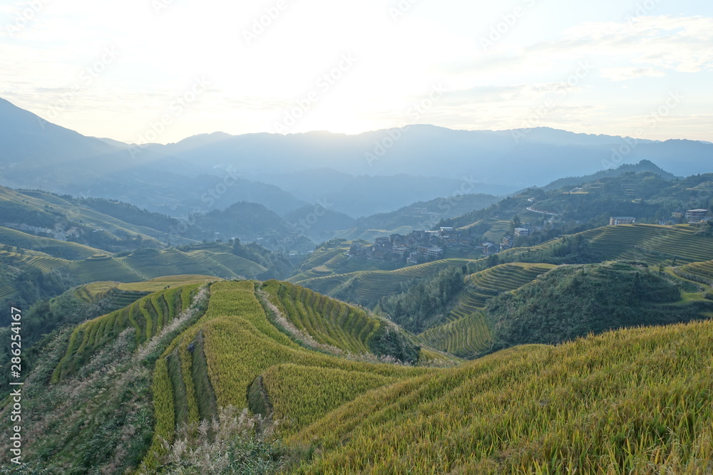 Sunrice over rice fields in Dazai, China Sunrice over rice fields in Dazai, China