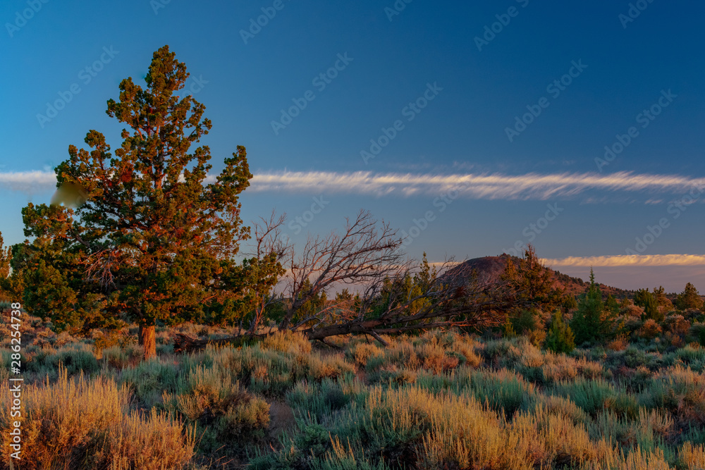 Fototapeta premium Sunrise Over Lava Beds National Monument