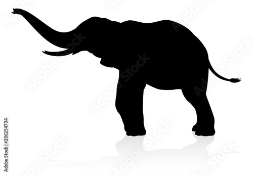 An elephant safari animal silhouette