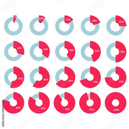 Percentage vector infographic icon. 5 10 15 20 25 30 35 40 45 50 55 60 65 70 75 80 85 90 95 100 percent pie chart symbol for web design, business