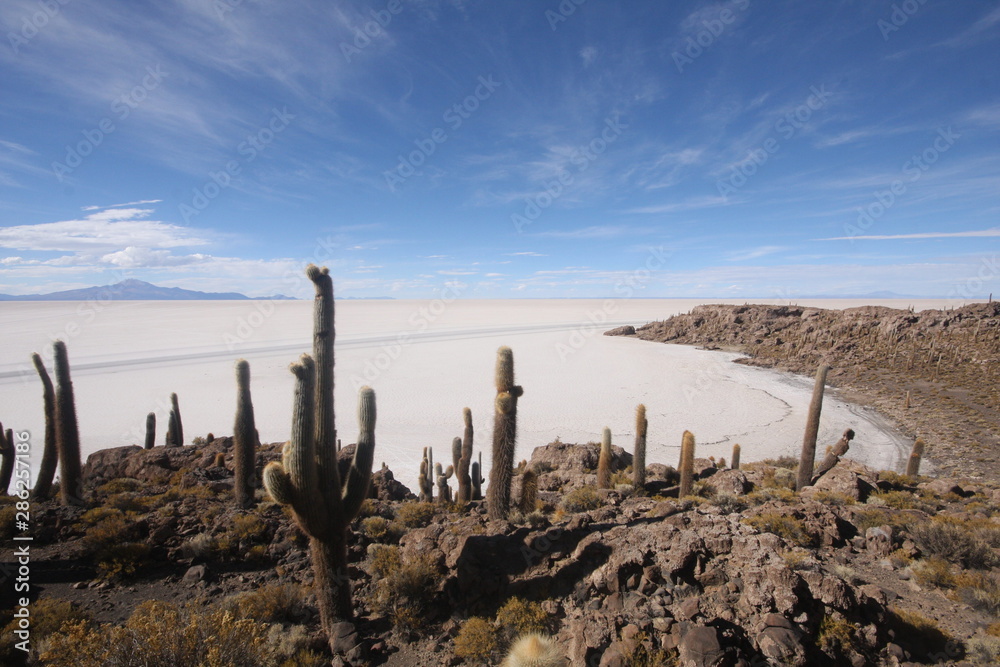 Salar de Uyuni, amid the Andes in southwest Bolivia