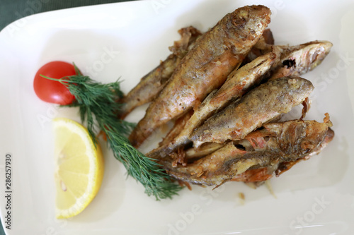 Fried red mullet on white plate