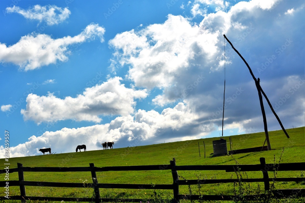 a fountain with shadoof in the field