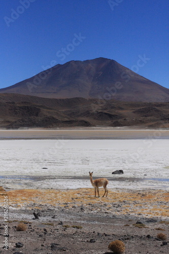 Salar de Uyuni, amid the Andes in southwest Bolivia