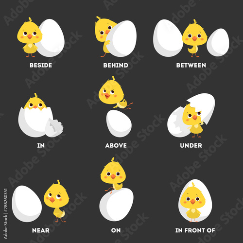 Chicken and egg set. Learning preposition with bird