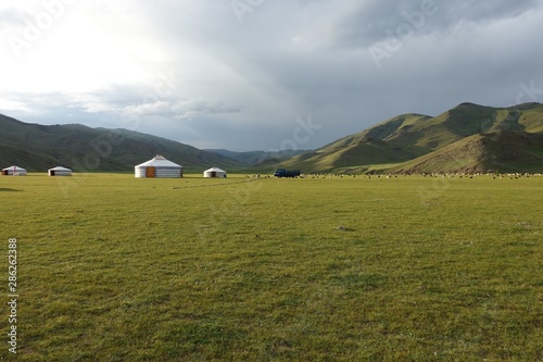 Yourtes dans la steppe mongole