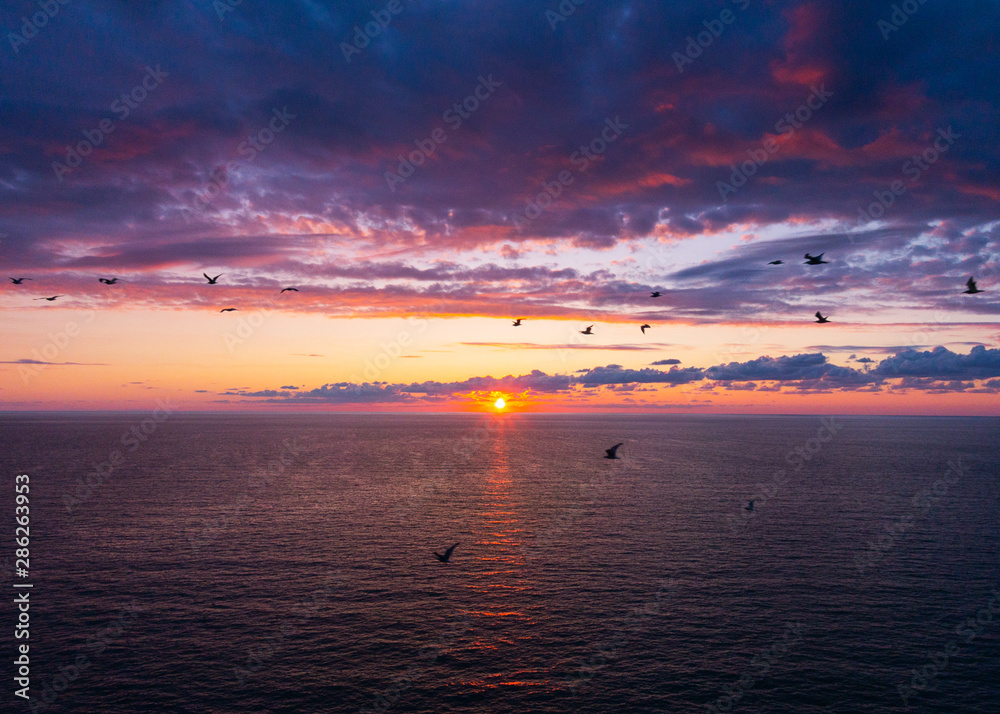 ucceli volano sopra il mare al tramonto bello georgia