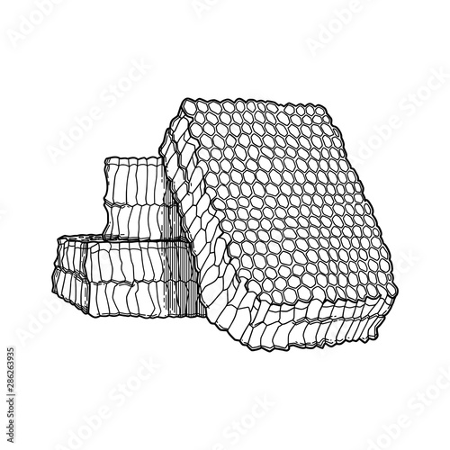 Graphic isolated set of flowing honey and honeycombs