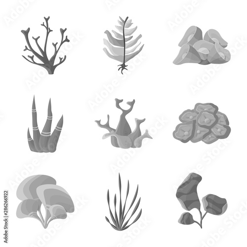 Vector design of botanical and flora symbol. Set of botanical and nature stock vector illustration.