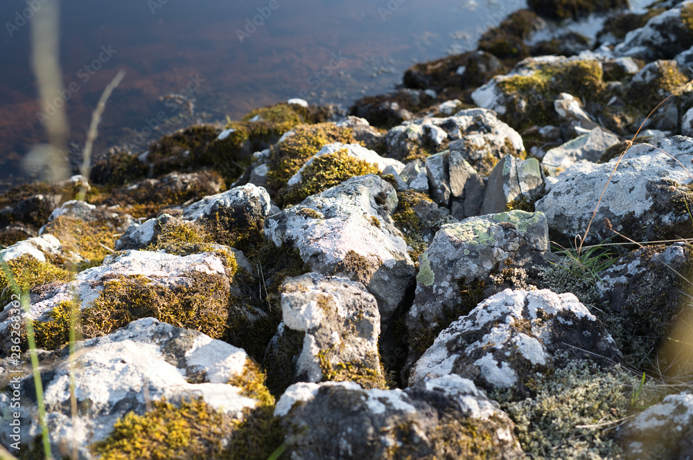 Rocky shore of Scotland Rocky shore of Scotland