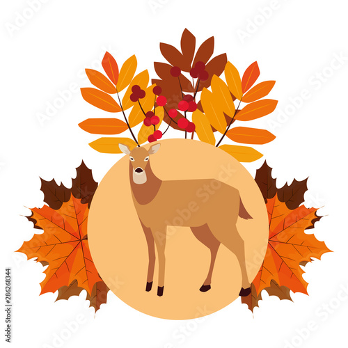 deer happy autumn season flat design