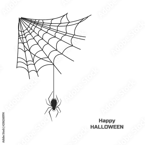 Black silhouette of spider on web. Halloween party. Isolated image of poison insect