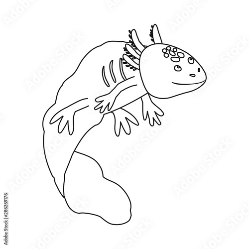 Isolated object of lizard and axolotl symbol. Collection of lizard and neotenic stock vector illustration.