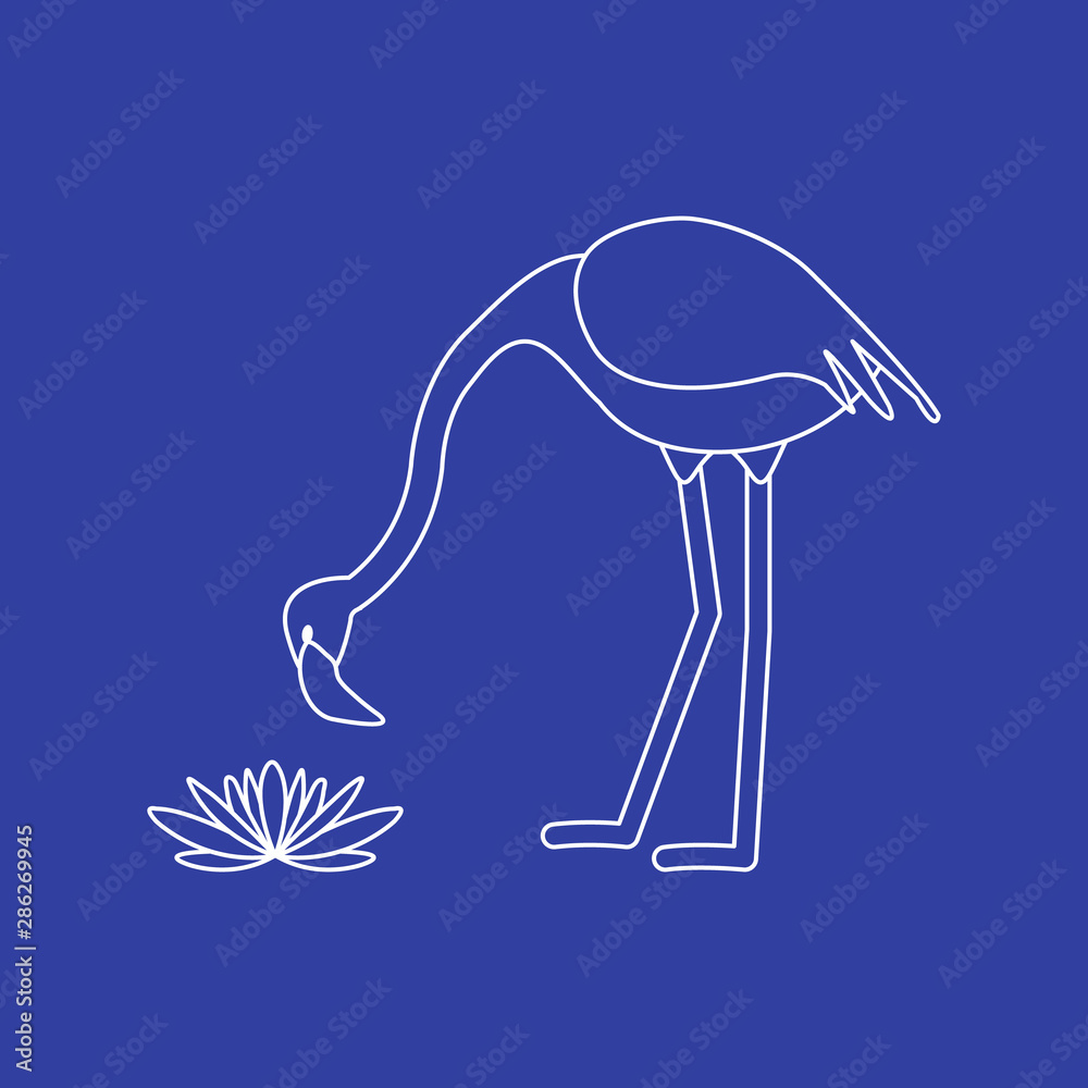 Fototapeta Exotic tropical bird flamingo, water lilies flower