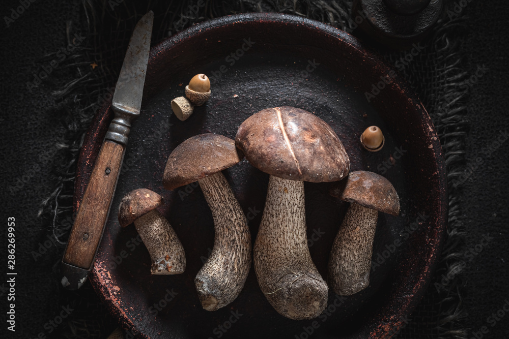 Top view of wild mushrooms on dark clay plate