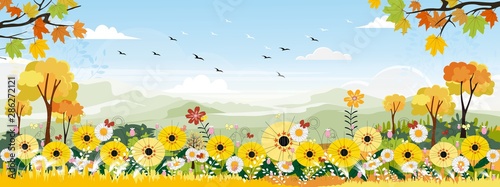 Cute cartoon panorama landscape of Sunflower field and butterfly flying with blue sky background, illustration of beautiful natural landscape of flowers farm field in green and yellow foliage.