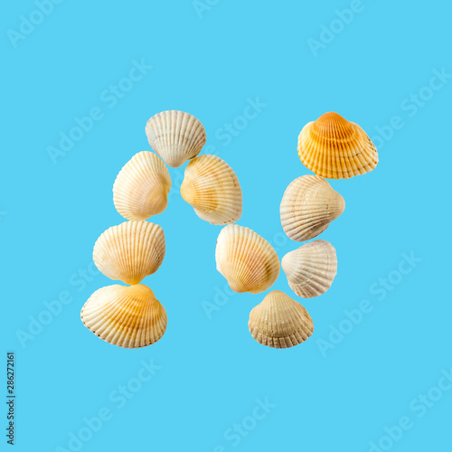Letter "n" composed from seashells, isolated on gentle blue background