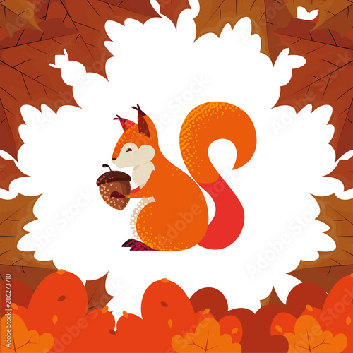 squirrel acorn happy autumn season flat design