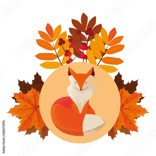 fox mammal happy autumn season flat design