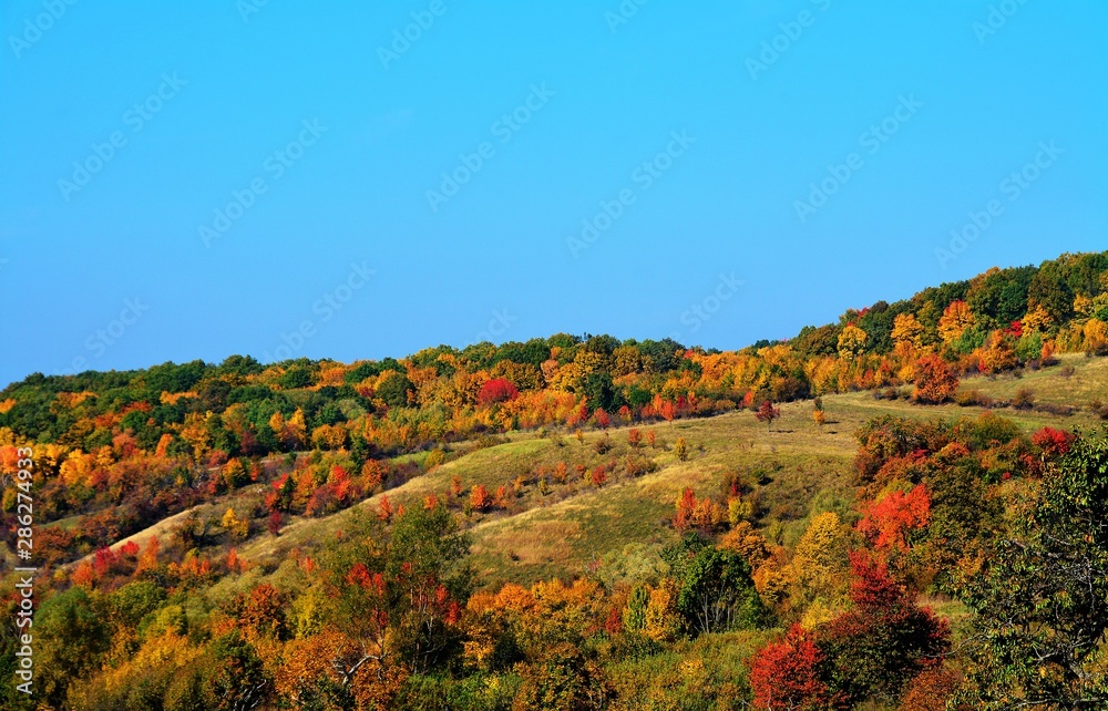 autumn landscape with yellowed forest