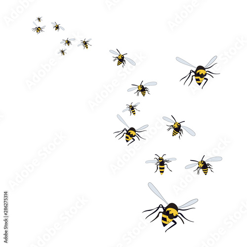 isolated  flying wasp  bees on a white background