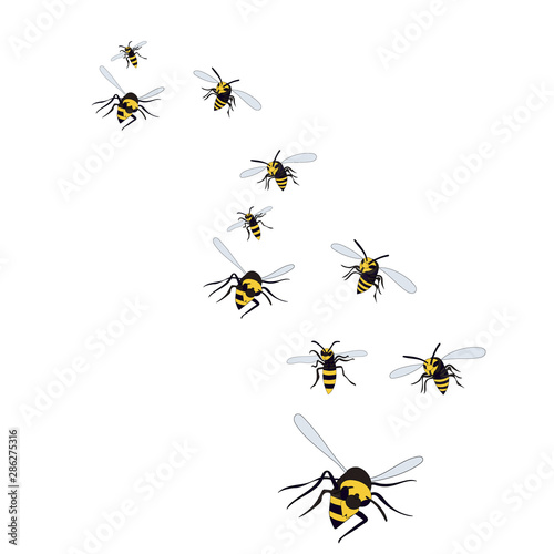 flying wasp, bees on a white background