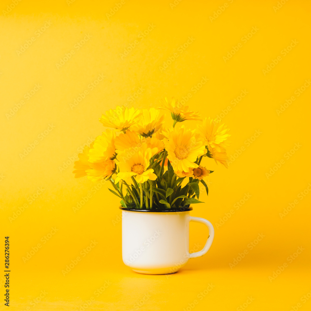 Yellow marigold on an yellow background