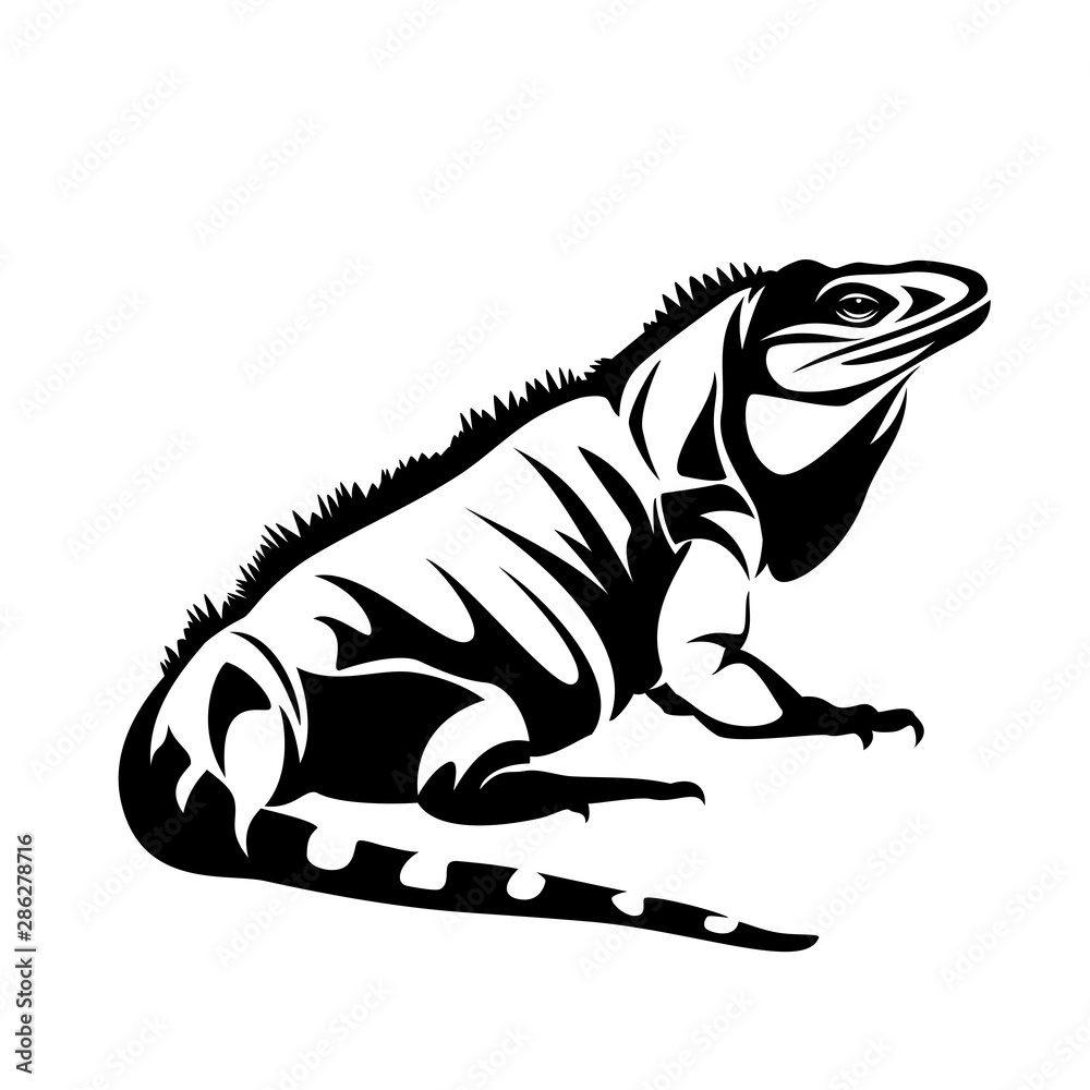 iguana lizard black and white vector outline - pet reptile side view design - obrazy, fototapety, plakaty 