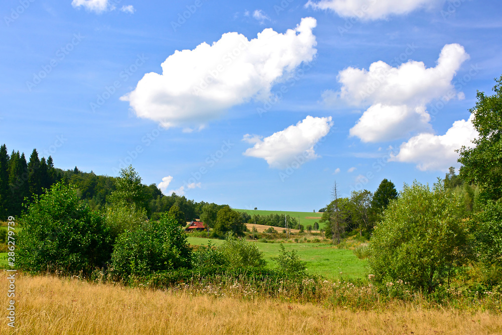 Rural summer landcsape against blue sky with white clouds