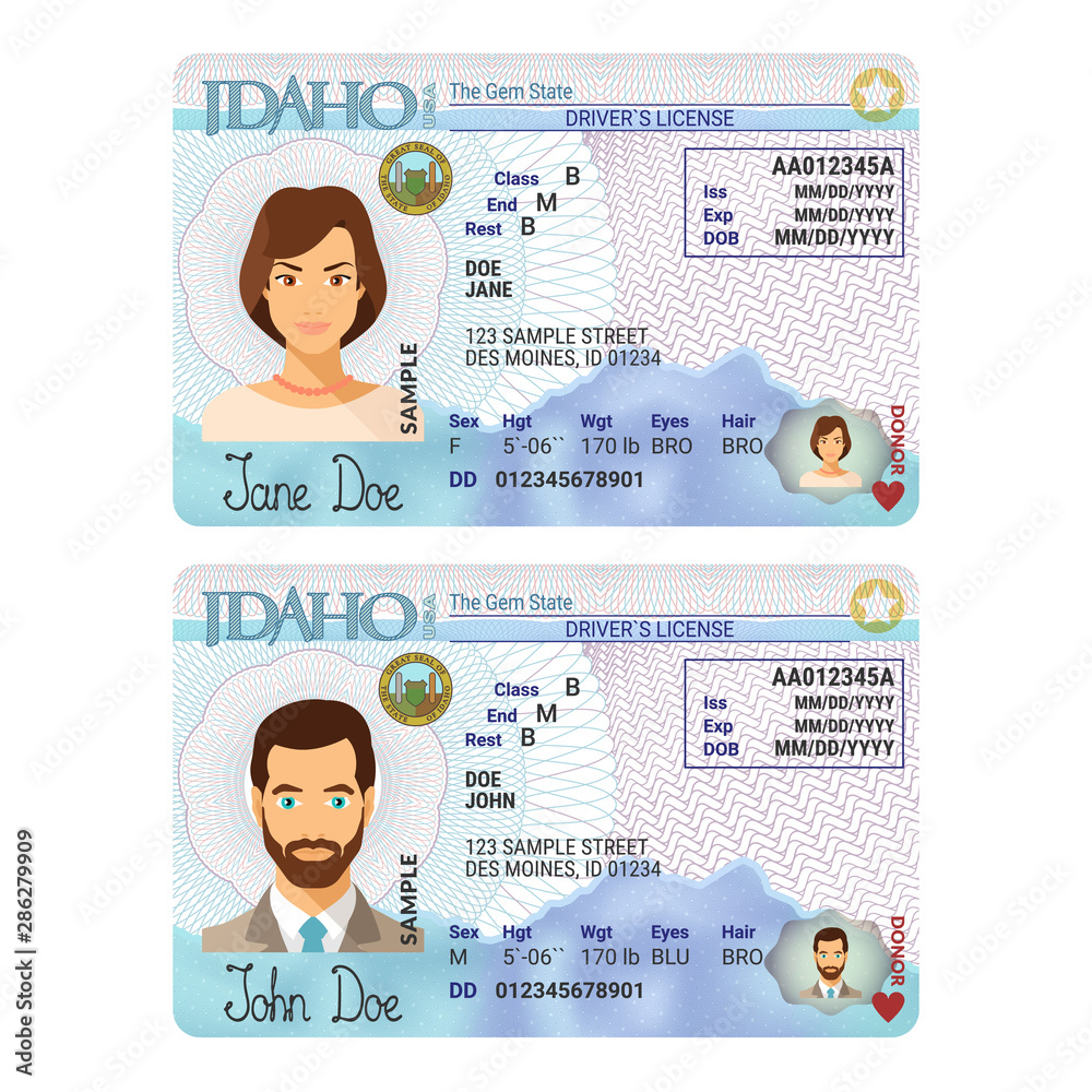 Vector template of sample driver license plastic card for USA Idaho