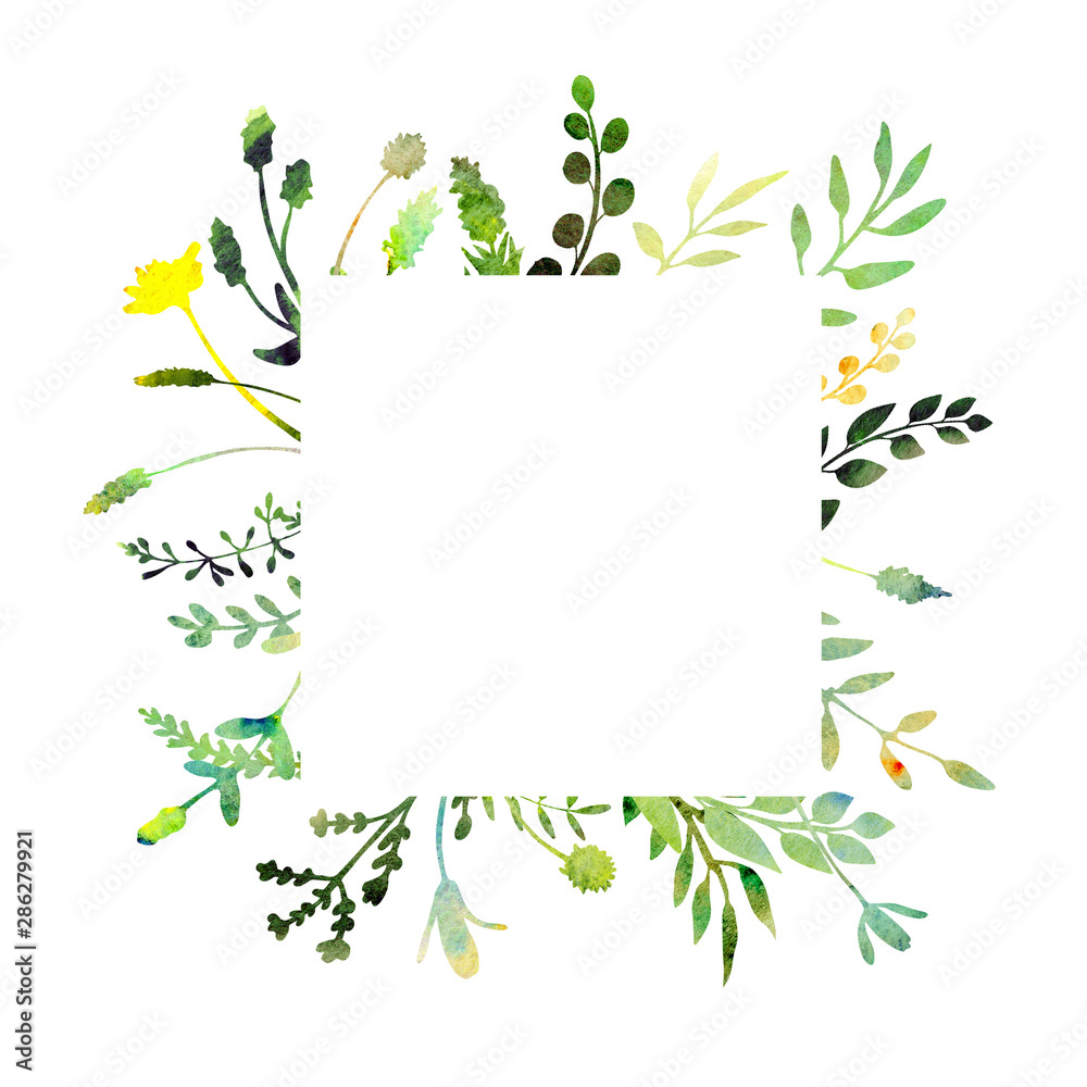 Watercolor herbal frame