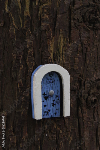old wooden door