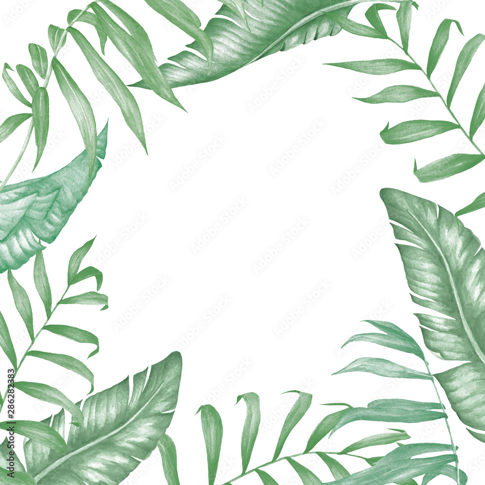 Naklejka premium Watercolor tropical collecton. Palm, banana and monstera leaves with tropical flowers.