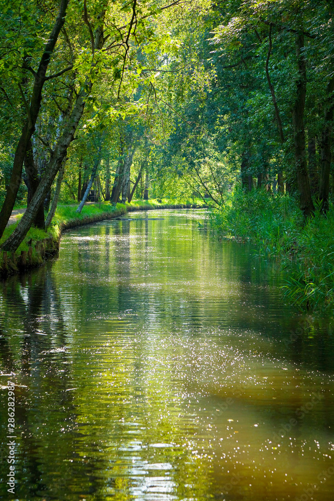 View of the famous “Spreewald“, Germany. View of the famous “Spreewald“, Germany.