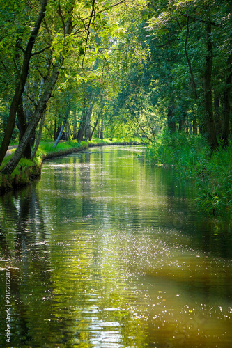 View of the famous    Spreewald     Germany.