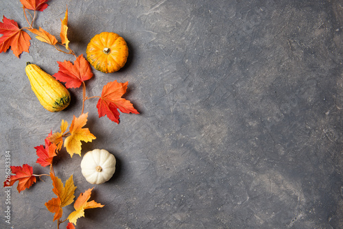 Autumn leaves and mini pumpkins over dark stone background, copy space, top view