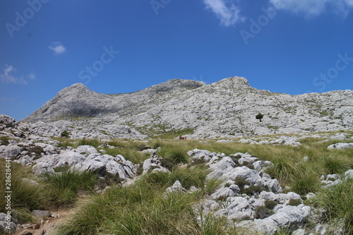 Ascent from Lluc to Masanella, West Coast, Mallorca, Spain