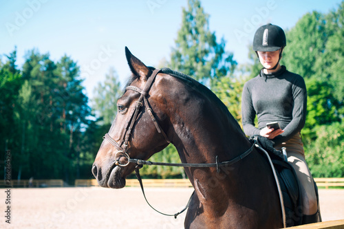 Young teenage girl typing smartphone sitting on horseback © AnnaElizabeth