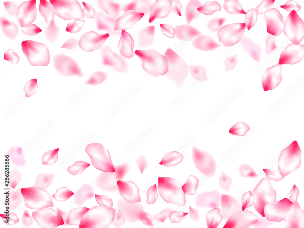 Spring blossom isolated petals flying Spring blossom isolated petals flying