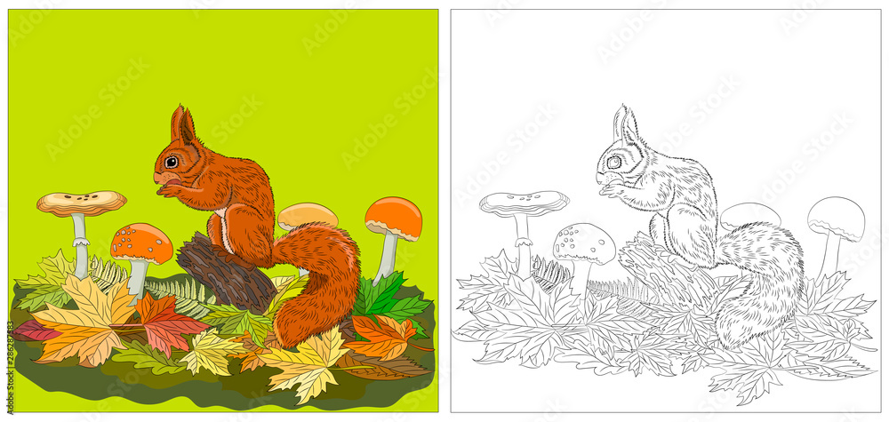 The squirrel eats a nut, around the fallen autumn leaves and mushrooms, coloring book The squirrel eats a nut, around the fallen autumn leaves and mushrooms, coloring book