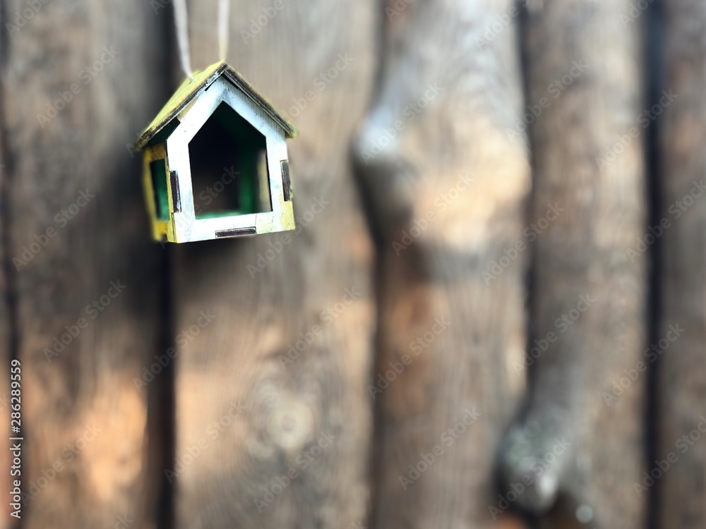 Birdhouse on a tree in the park. Bird feeder hanging on a tree. Against the background of green forest. House for birds and squirrels hanging on a tree. - image