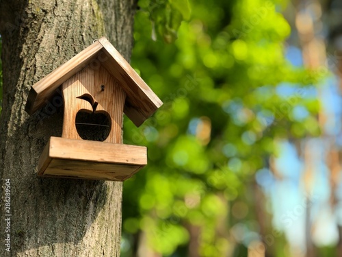 Birdhouse on a tree in the park. Bird feeder hanging on a tree. Against the background of green forest. House for birds and squirrels hanging on a tree. - image