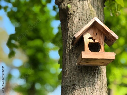 Birdhouse on a tree in the park. Bird feeder hanging on a tree. Against the background of green forest. House for birds and squirrels hanging on a tree. - image