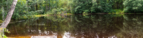 Panorama of the forest lake.