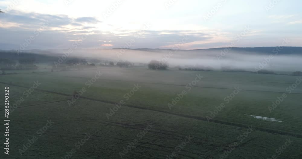 One stork flying in Jura misty morning One stork flying in Jura misty morning
