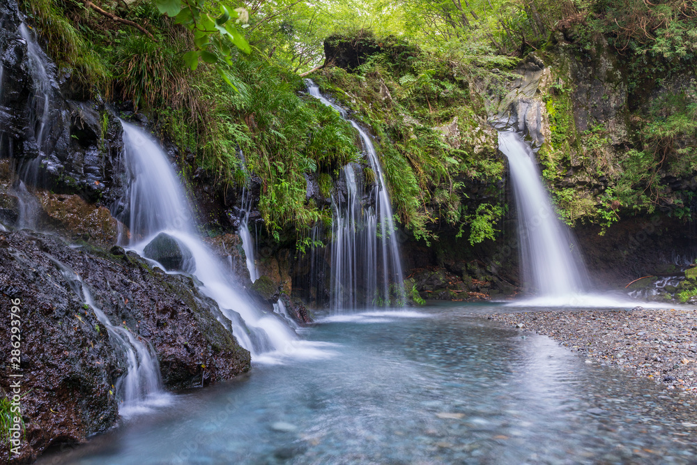 Fototapeta premium Letni wodospad miasta Fujinomiya