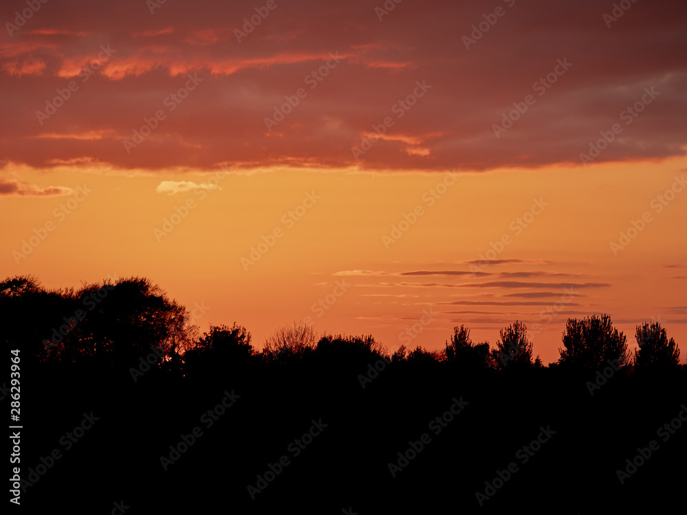 Warm orange sunset sky with clouds over trees silhouette.