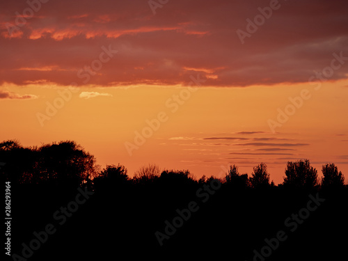 Warm orange sunset sky with clouds over trees silhouette.